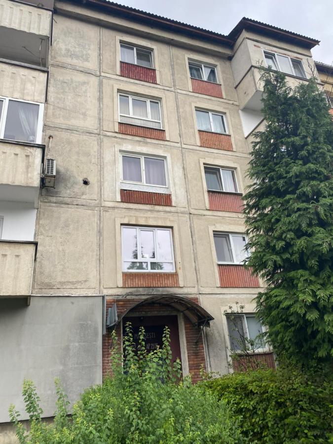 Apartament Marasesti 巴亚马雷 外观 照片
